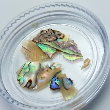 Concha Rota perlada 001, Beige, 2 gr