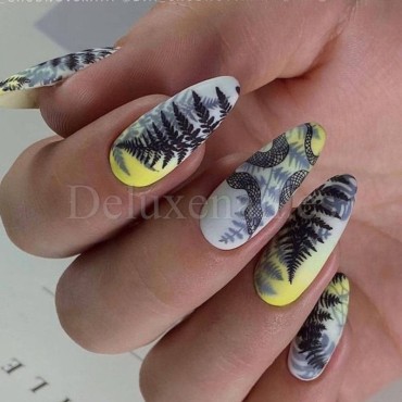 Placa Grande 03, Taki Da