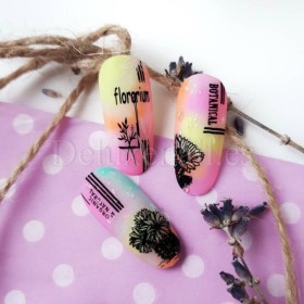 Placa Grande 16 Taki Da