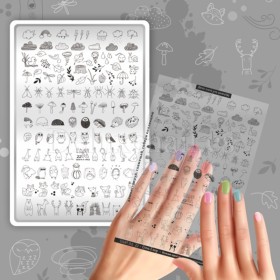 Placa Grande 22, Taki Da