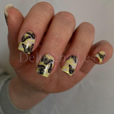 Placa Grande 08 Vakula