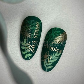 Placa Grande 02 Darstamp Tropical