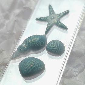 Molde de silicona transparente para los diseños, Conchas 1