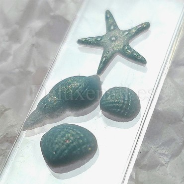 Molde de silicona transparente para los diseños, Conchas 1