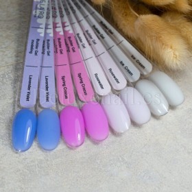 Gel Color Ice Cream DE LA RO, 15 gr