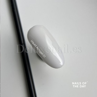 Liquid Acrygel 01 NAILSOFTHEDAY, 15 ml
