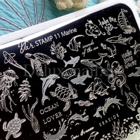 Placa Grande 11 Darstamp Marine