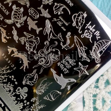 Placa Grande 11 Darstamp Marine