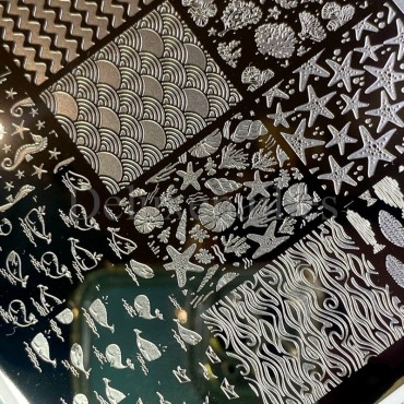 Placa Grande 11 Darstamp Marine