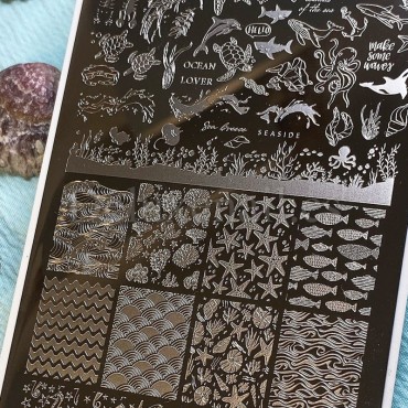 Placa Grande 11 Darstamp Marine