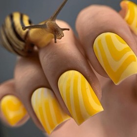 Placa Grande 25, Taki Da