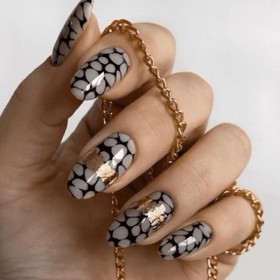 Placa Grande 26, Taki Da