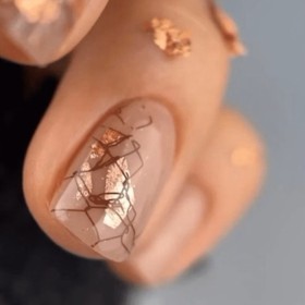 Placa Grande 26, Taki Da