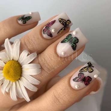 Placa Grande 31, Taki Da