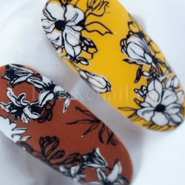 Placa Grande 31, Taki Da