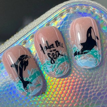 Placa Grande 11 Darstamp Marine