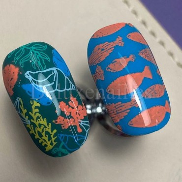 Placa Grande 11 Darstamp Marine