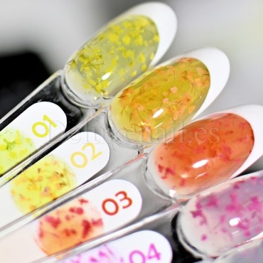 Gel Garden of Flowers 01 DE LA RO, 15 gr