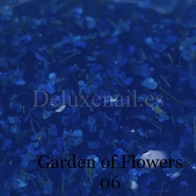 Gel Garden of Flowers 06 DE LA RO, 15 gr