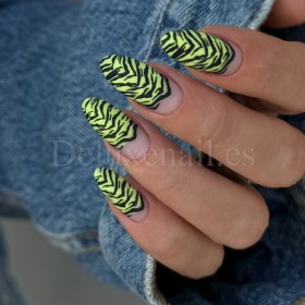 Placa Grande 12 Vakula