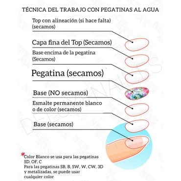 Pegatina al agua FC 144