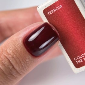 Gel Polish Terroir NAILSOFTHEDAY, esmalte semipermanente vitral color vino, 10 ml