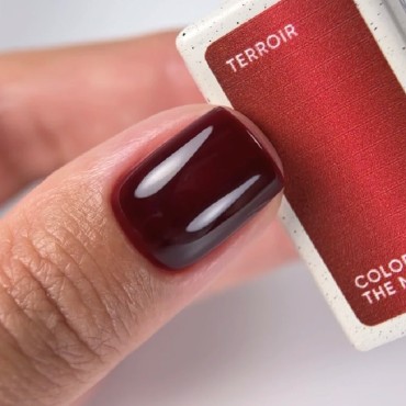 Gel Polish Terroir NAILSOFTHEDAY, esmalte semipermanente vitral color vino, 10 ml